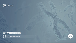 丁香实验推荐阅读