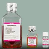 OriCell® 人脐静脉内皮细胞完全培养基