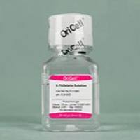 OriCell® 明胶溶液(0.1%)