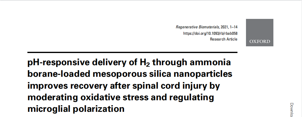 牛津大学及中国生物材料学会《再生生物材料》|IVScope8000动物成像设备在脊髓损伤恢复改善研究中应用