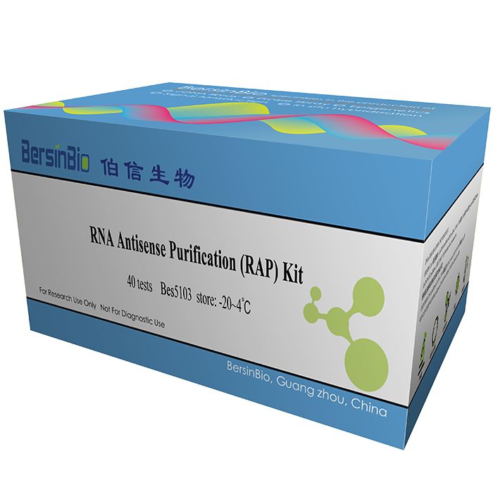 RNA反义纯化技术(RAP)试剂盒（RAP- Protein kit，12T）