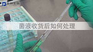 丁香实验推荐阅读