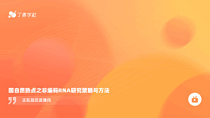 丁香实验推荐阅读