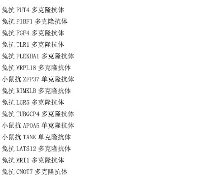 兔抗小鼠IgG免疫磁珠