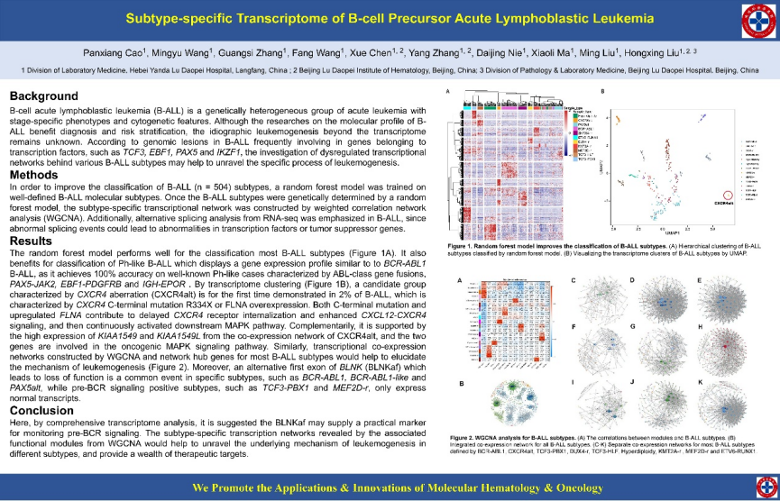 陆道培医学团队 11 项学术成果亮相 ASH 大会