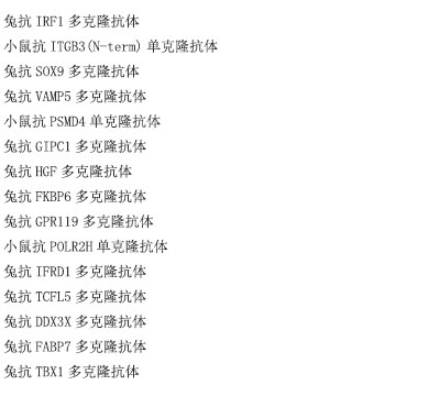 兔抗RBBP8多克隆抗体