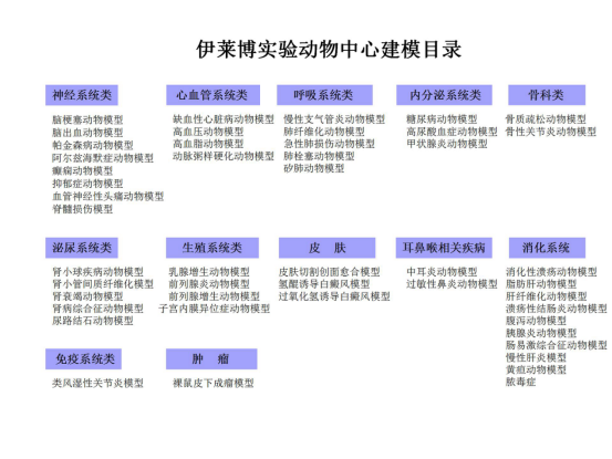 伊莱博实验动物中心建模目录