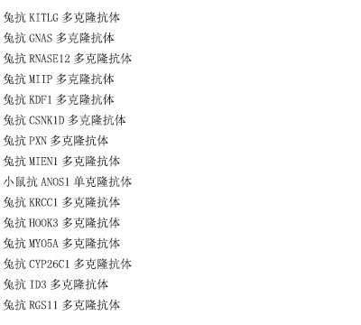 重组乙肝病毒表面抗原