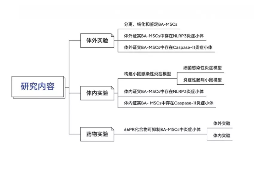 五分钟文献解读之《间充质基质细胞通过典型NLRP3 和非典型Caspase-11炎症小体直接促进炎症》