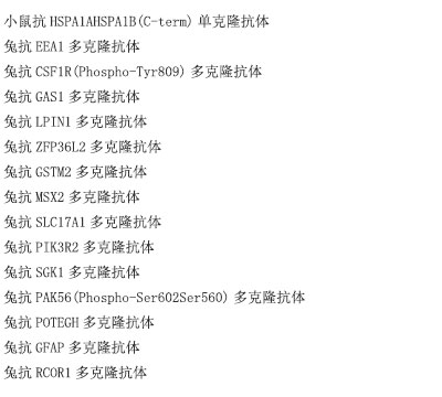 兔抗REG1A多克隆抗体
