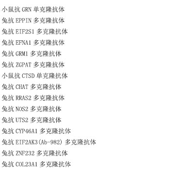 兔抗RAPGEF5多克隆抗体