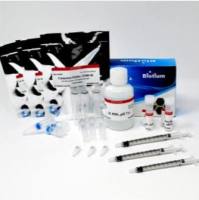 VivoBrite Rapid Abtibody Labeling Kit for Small Animal In Vivo Imaging, CF790 SE 92163