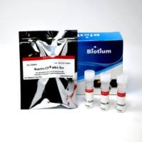 Mix-n-Stain CF633 小配体标记试剂盒 92353