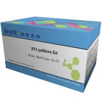 RNA pulldown试剂盒（RNA pulldown Kit，12T）
