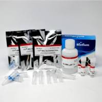 CF405L 蛋白标记试剂盒 "3 labelings" 92228