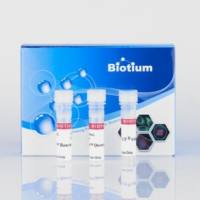 Mix-n-Stain™ Maxi HRP 抗体标记试剂盒, 1x1mg labeling 92437