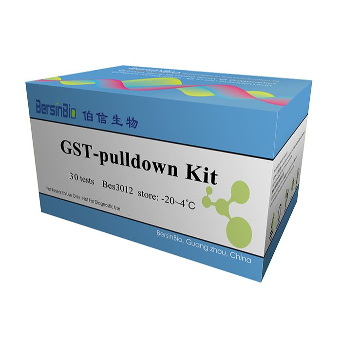 GST pulldown试剂盒（GST pulldown Kit，10T）