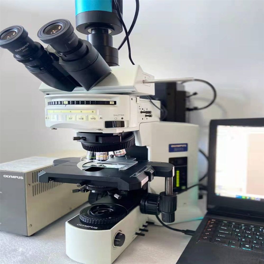 二手 奥林巴斯 倒置荧光显微镜 BX41 实验室研究标本