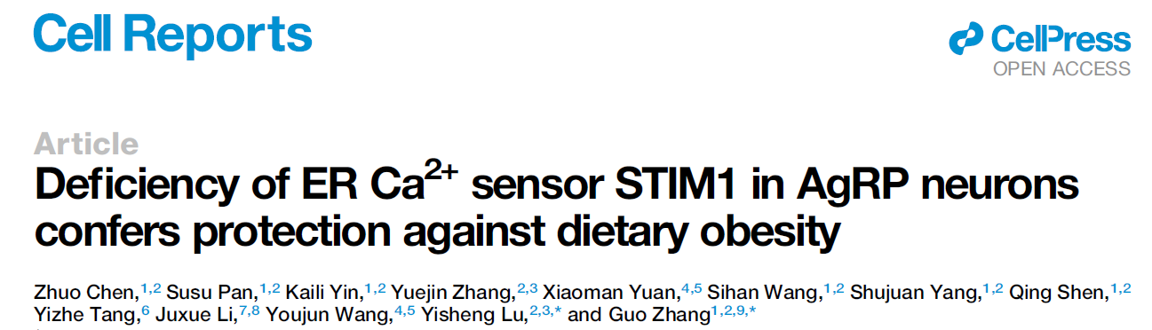 【客户文章】华中科技大学张果教授团队在下丘脑AgRP神经元钙稳态在肥胖形成中的作用研究取得新进展