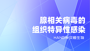 丁香实验推荐阅读