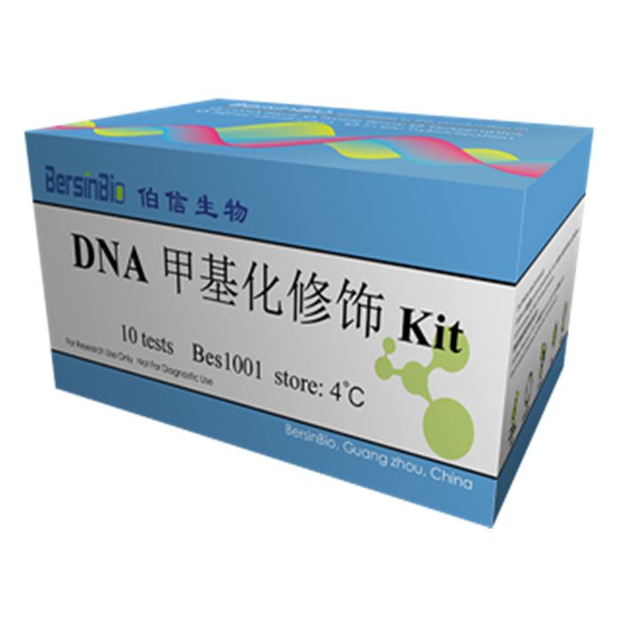 DNA 甲基化修饰试剂盒（BSP Kit，50T）