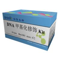 DNA 甲基化修饰试剂盒（BSP Kit，50T）
