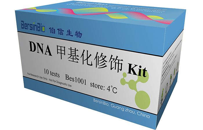 DNA 甲基化修饰试剂盒（BSP Kit，50T）