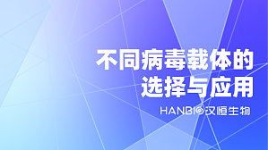 丁香实验推荐阅读