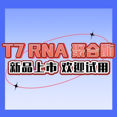 T7 RNA聚合酶