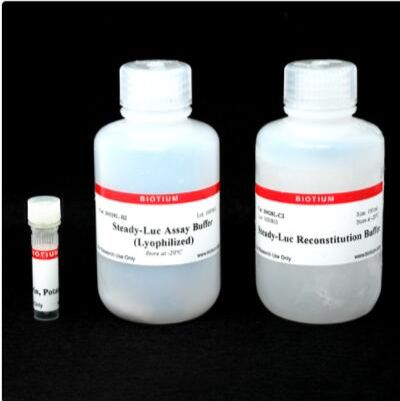 Steady-Luc 萤火虫高温超导检测试剂盒 (Lyophilized) 30028-L1