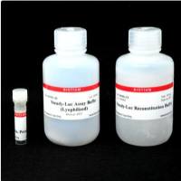 Steady-Luc 萤火虫高温超导检测试剂盒 (Lyophilized) 30028-L1