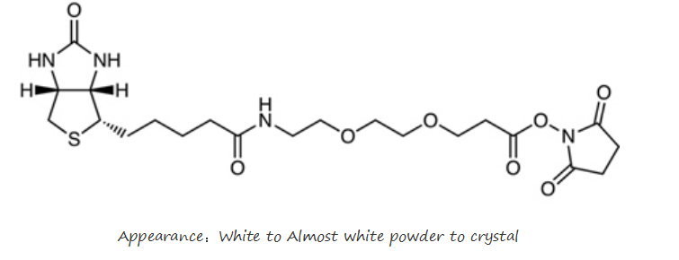 JS1057： Biotin-PEG2-NHS 596820-83-6