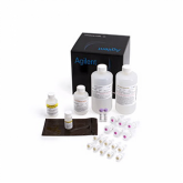 Agilent RNA 试剂盒 (15NT)/ 片段分析仪系
