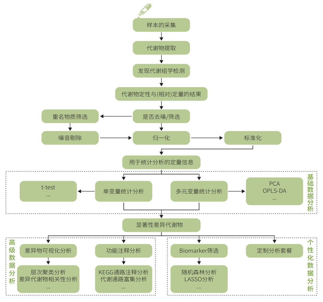 技术介绍 | 发现代谢组学-亲水版