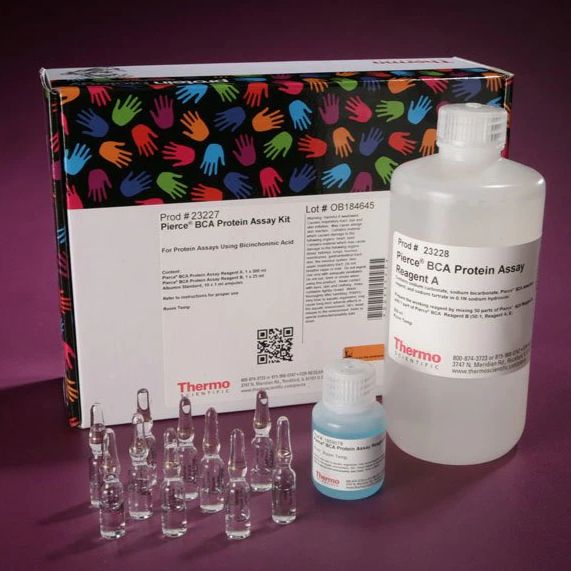 Pierce™ BCA  23227 蛋白检测试剂盒  【现货促销】