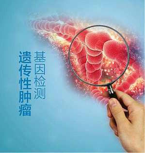 丁香实验推荐阅读