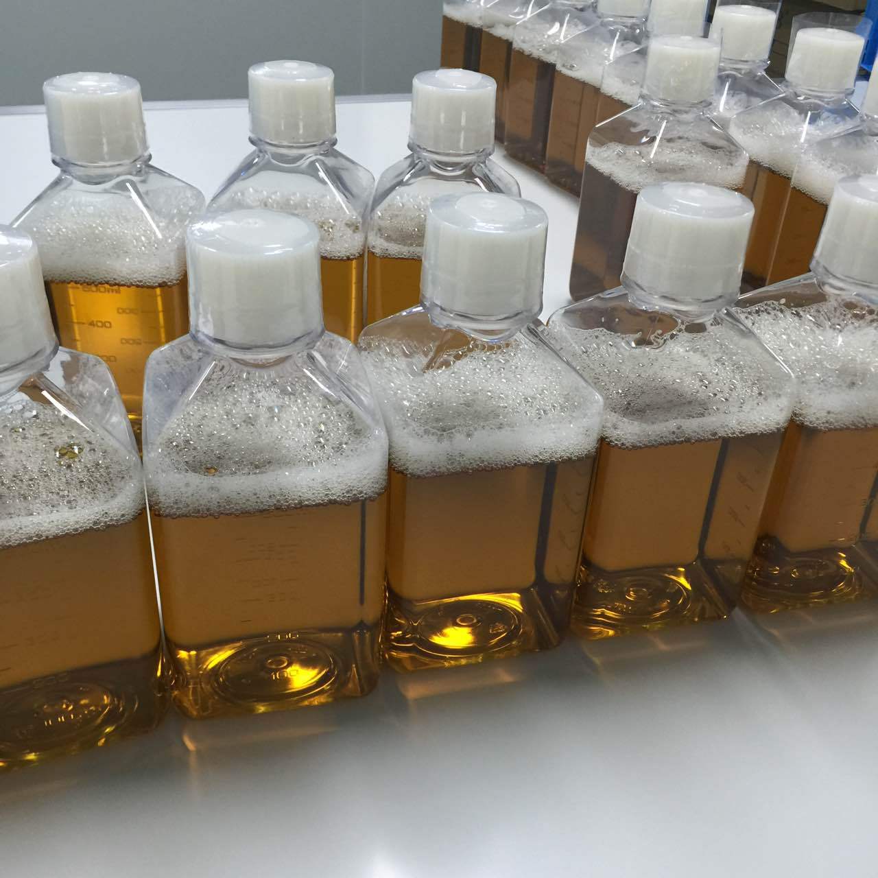 牛血清在细胞培养中的作用与质量要求