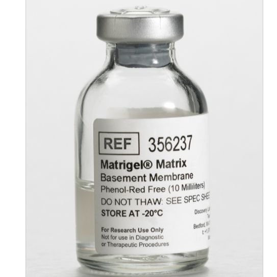 Corning® Matrigel® 356237   基底膜基质，不含酚红，不含LDEV  【现货促销】