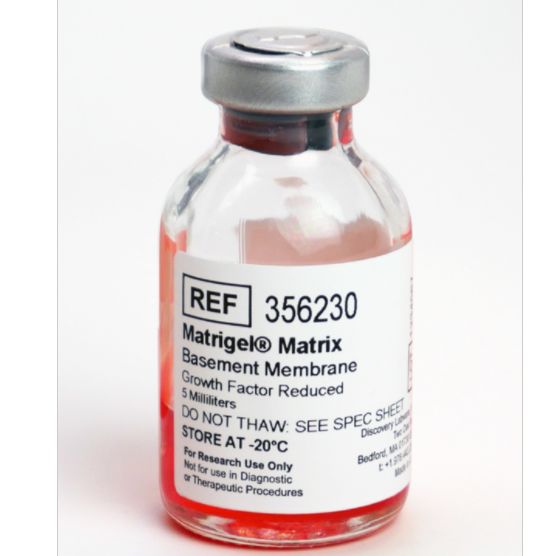 Corning® Matrigel®   356230 生长因子减量(GFR) 基底膜基质【现货促销】