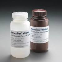 Millipore Immobilon Western 化学发光HRP底物 WBKLS0050