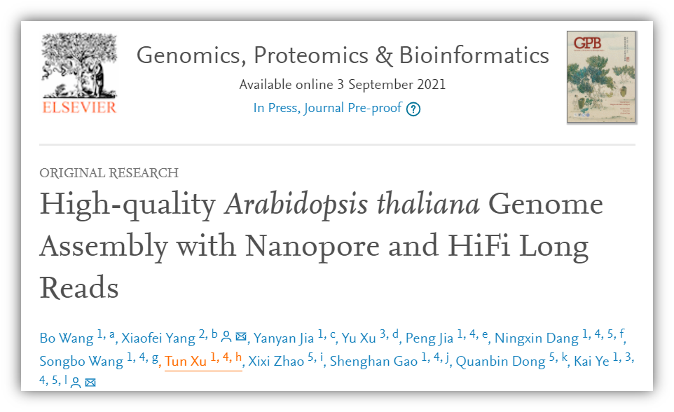 SageHLS联合ONT超长读长测序技术对拟南芥进行高质量的基因组组装和测序