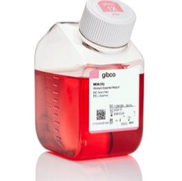 Gibco 11090081 MEM，培养基 不含谷氨酰胺  现货