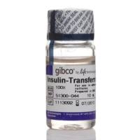 Gibco 51300044 现货 胰岛素-转铁蛋白