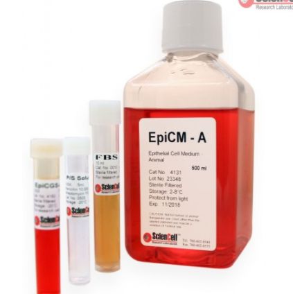ScienCell 4131 现货 动物上皮细胞培养基（EpiCM-a）