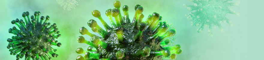 biorbyt传染病产品系列/ 冠状病毒