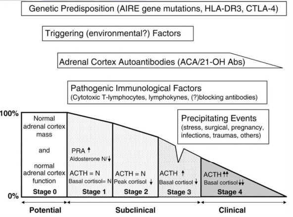 【科普文章-Addison病（二）】21羟化酶抗体检测辅助自身免疫性Addison病和自身免疫性POI的诊断 - 企业动态 - 丁香通