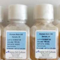 Access人AB血清515-HI