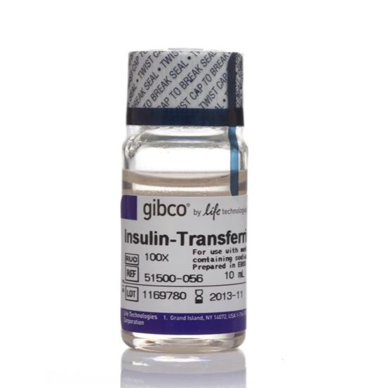 Gibco   51500056 现货 胰岛素-转铁蛋白-硒-氨基乙醇 (ITS -X) (100X) 
