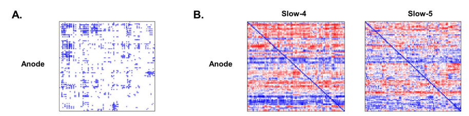 深圳市康宁医院科研成果:额极的经颅直流电刺激对大脑功能网络的影响