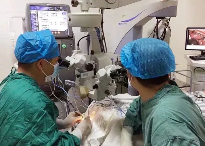 起步即提速，致力打造区域领先眼底病专科——眼底病与白内障专科建设篇